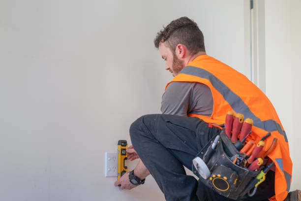 Best Electric Panel Repair  in Westwood Lakes, FL